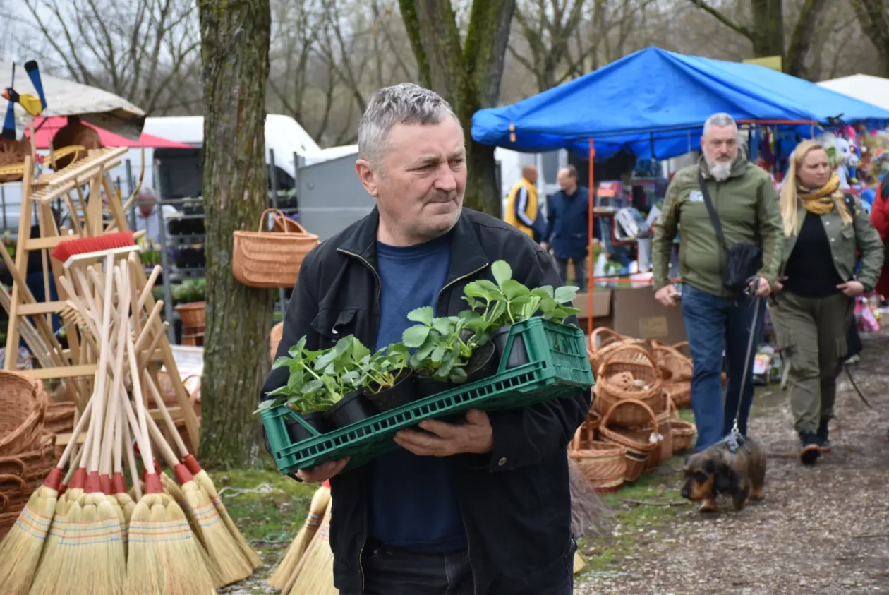 Sajam, Čakovec 26.3 (66) Sajam, Čakovec 26.3 (66)