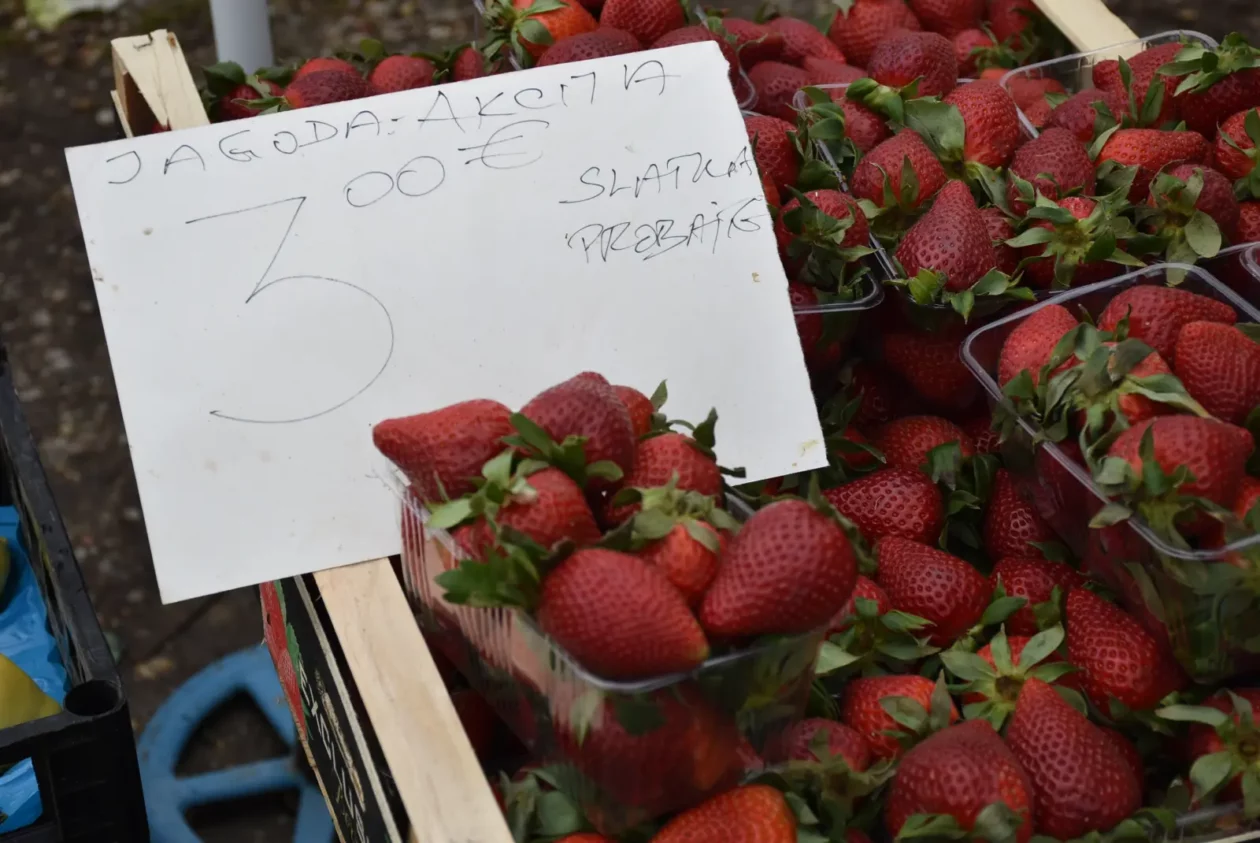 Sajam, Čakovec 26.3 (8) Sajam, Čakovec 26.3 (8)