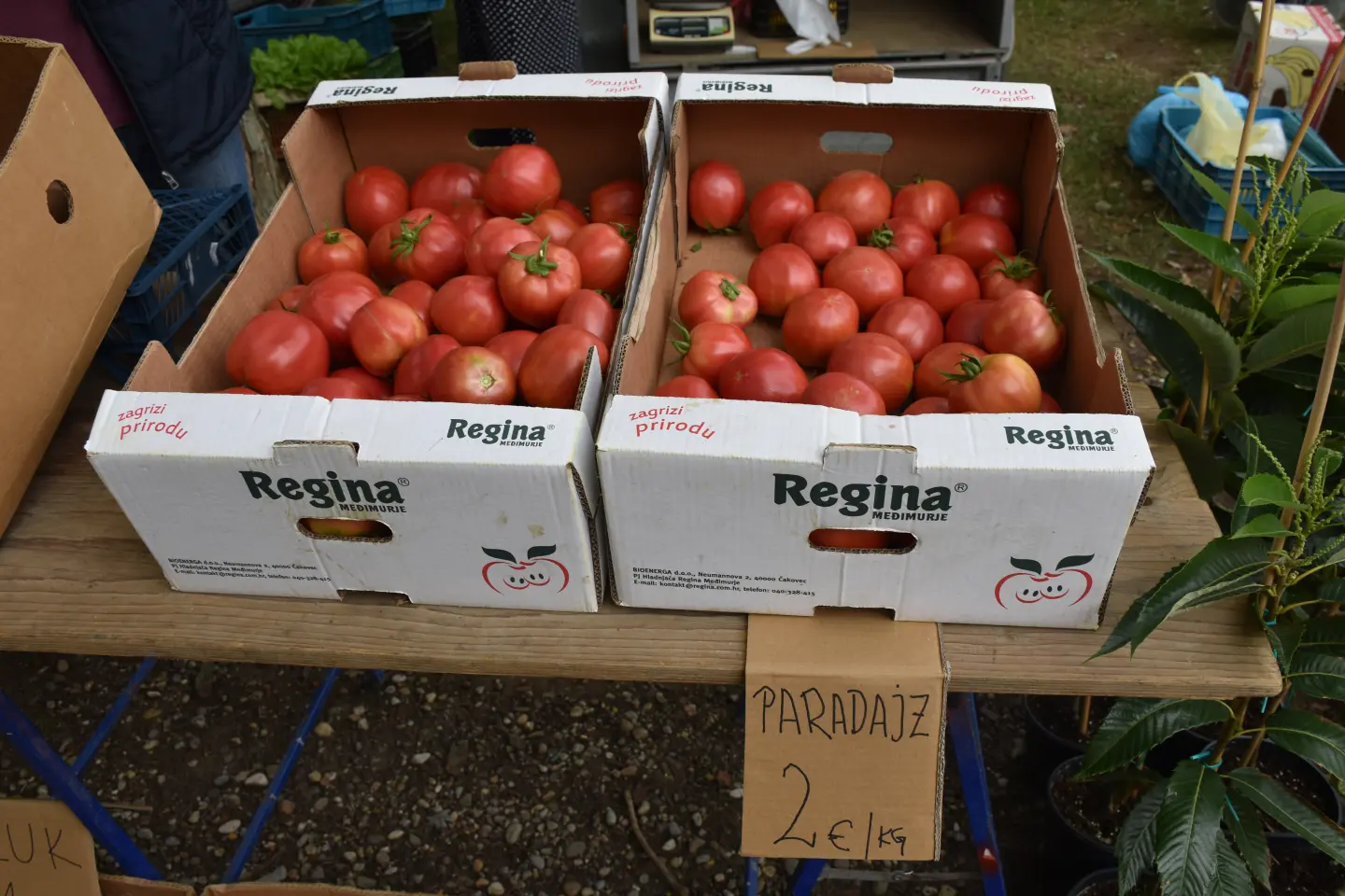 Sajam, Čakovec, 3.9.2025 (10)