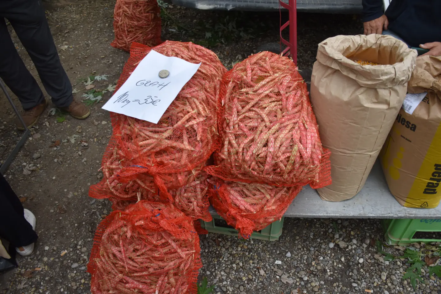 Sajam, Čakovec, 3.9.2025 (12)