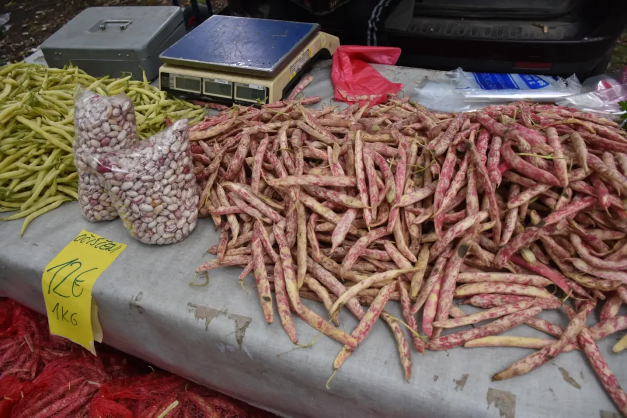 Sajam, Čakovec, 3.9.2025 (20) Sajam, Čakovec, 3.9.2025 (20)