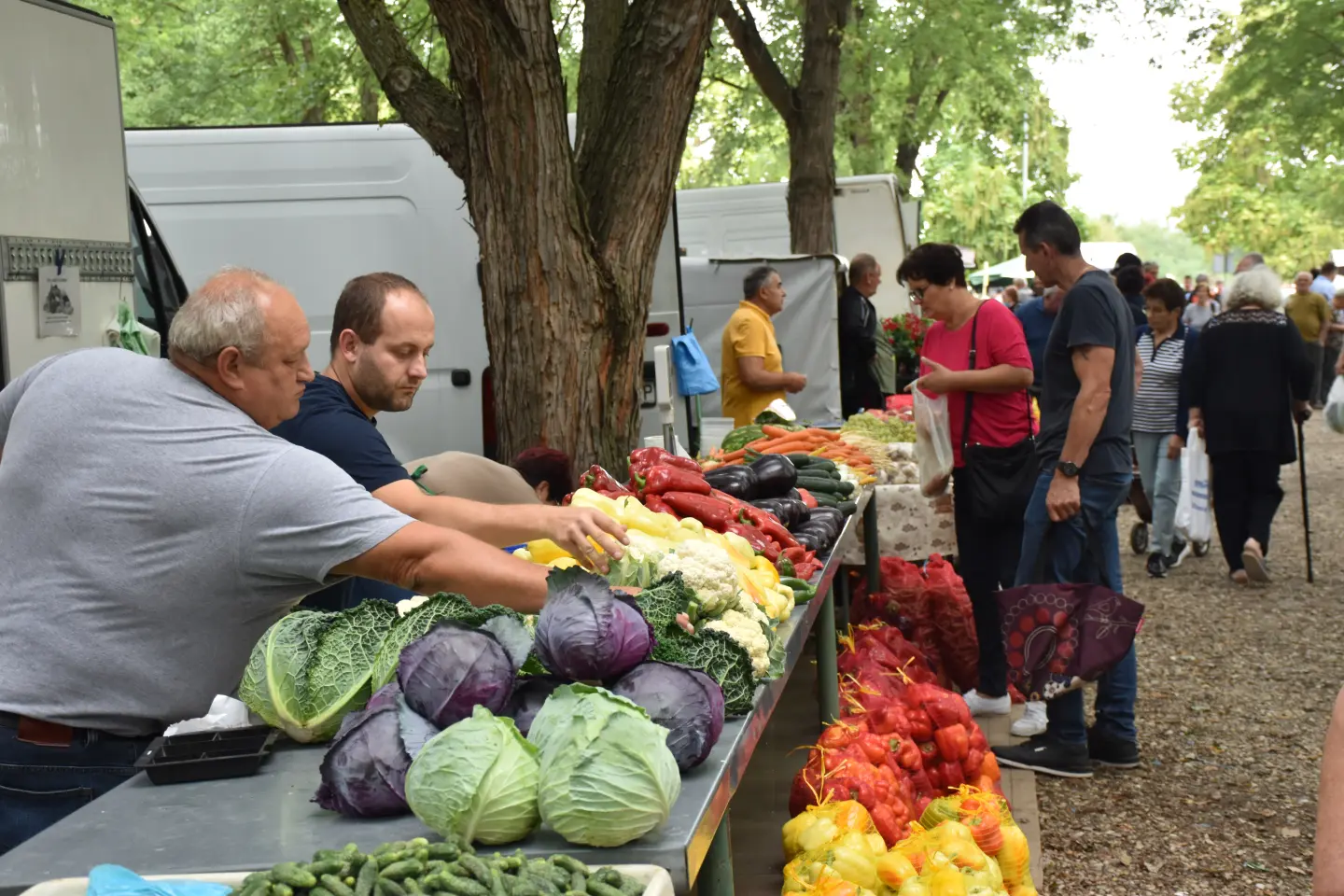 Sajam, Čakovec, 3.9.2025 (24)