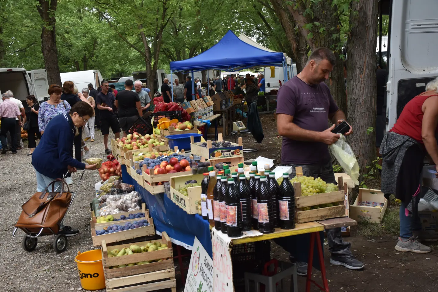 Sajam, Čakovec, 3.9.2025 (31)