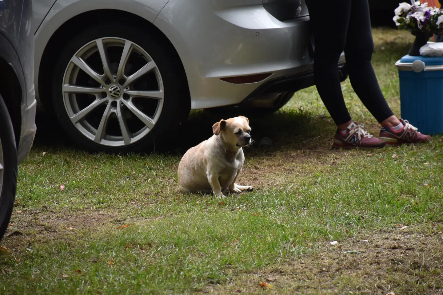 Sajam, Čakovec, 3.9.2025 (36)