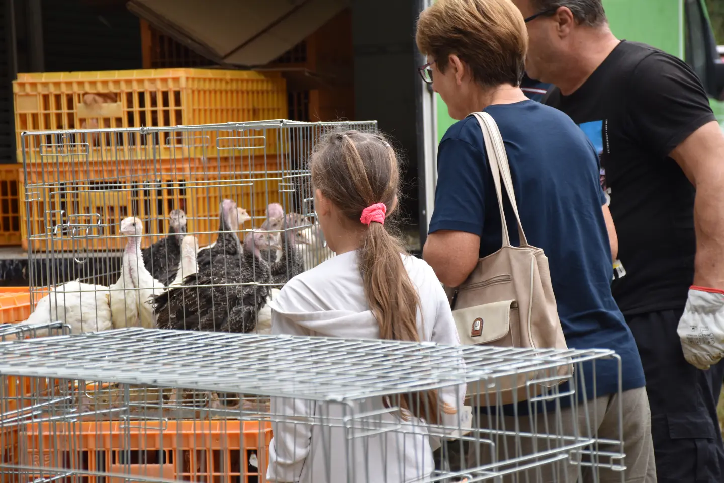 Sajam, Čakovec, 3.9.2025 (45)