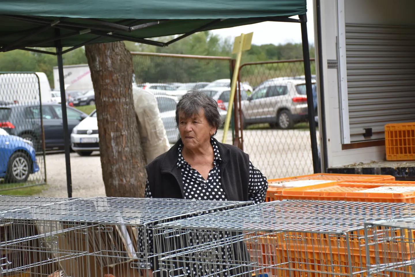 Sajam, Čakovec, 3.9.2025 (46)