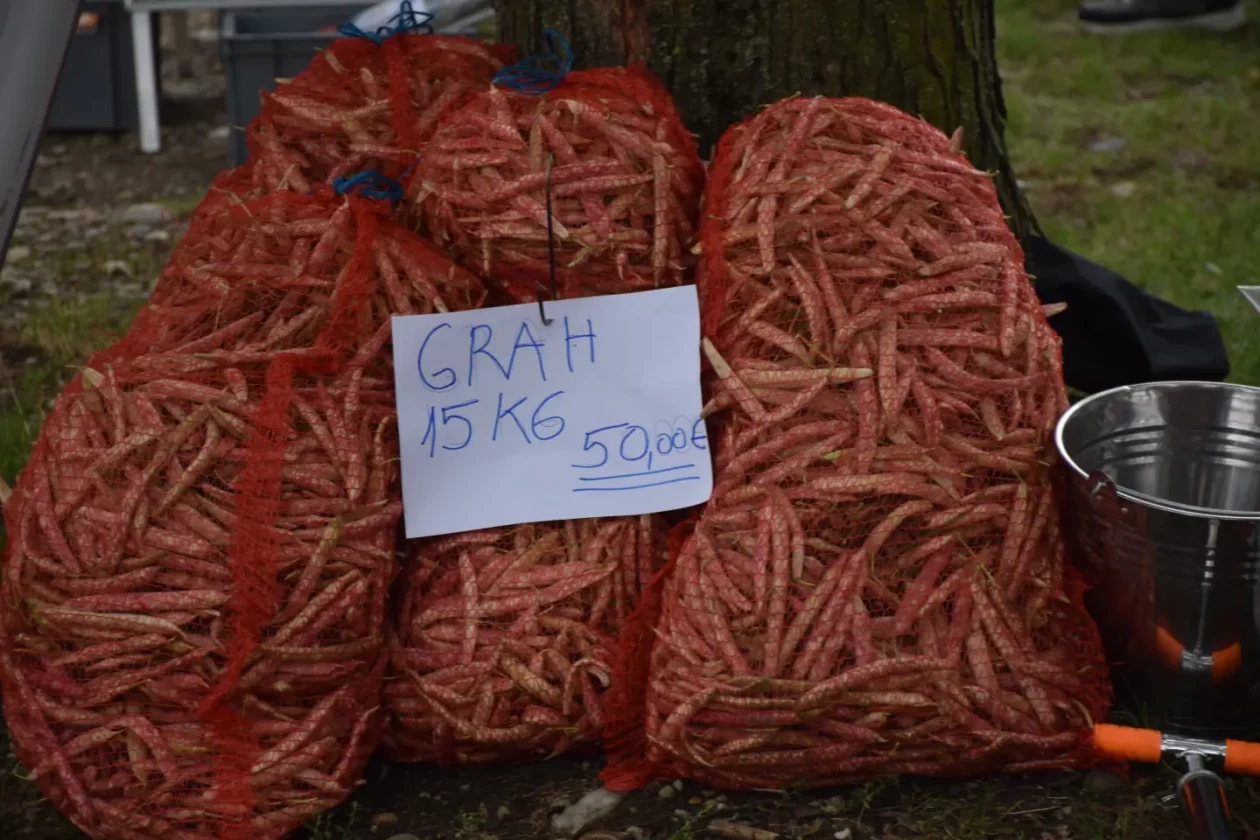 Sajam, Čakovec, 3.9.2025 (49) Sajam, Čakovec, 3.9.2025 (49)