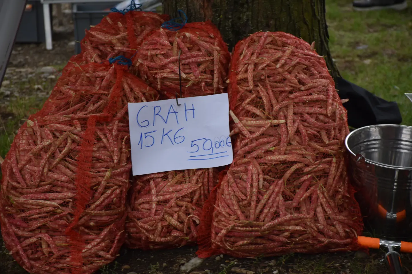 Sajam, Čakovec, 3.9.2025 (49)