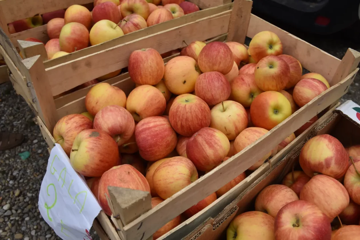 Sajam, Čakovec, 3.9.2025 (5) Sajam, Čakovec, 3.9.2025 (5)