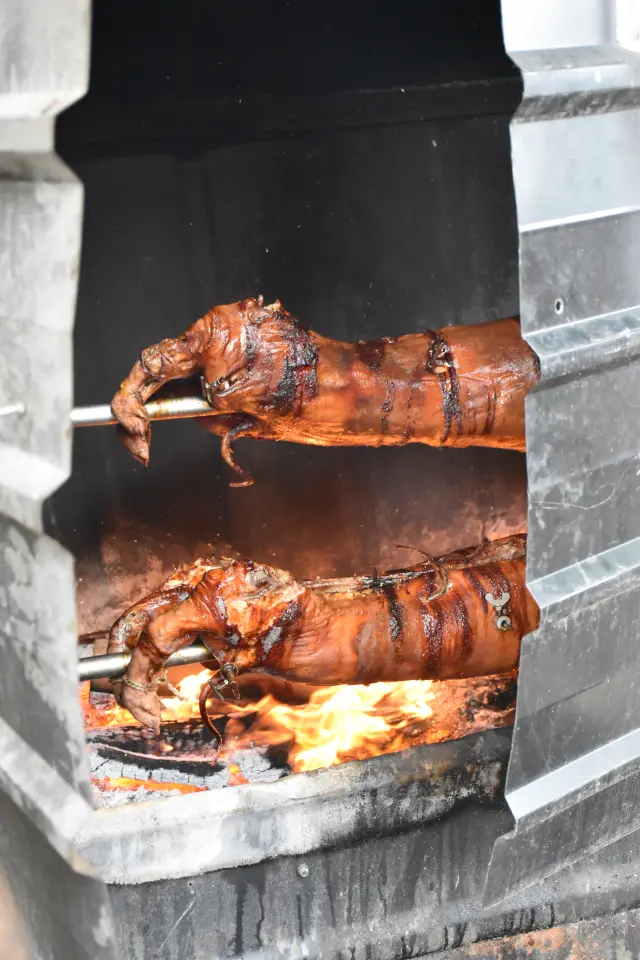 Sajam, Čakovec, 3.9.2025 (60)