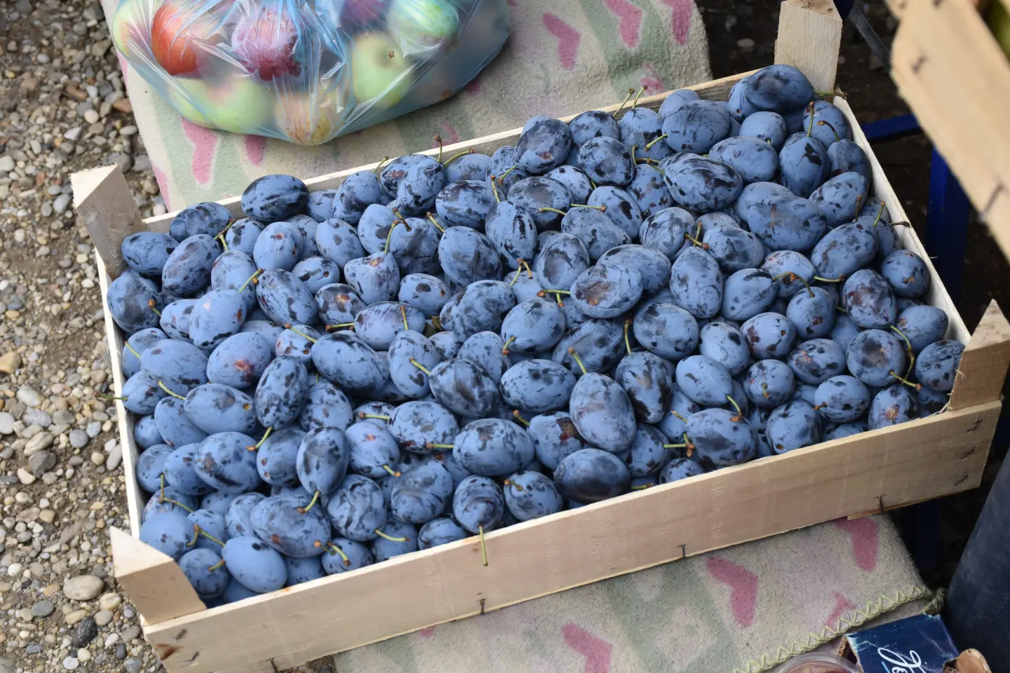 Sajam, Čakovec, 3.9.2025 (7)