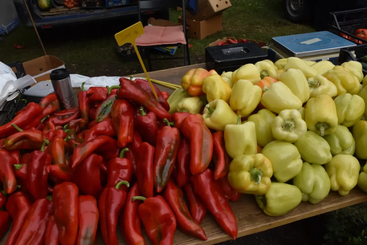 Sajam, Čakovec, 3.9.2025 (8) Sajam, Čakovec, 3.9.2025 (8)