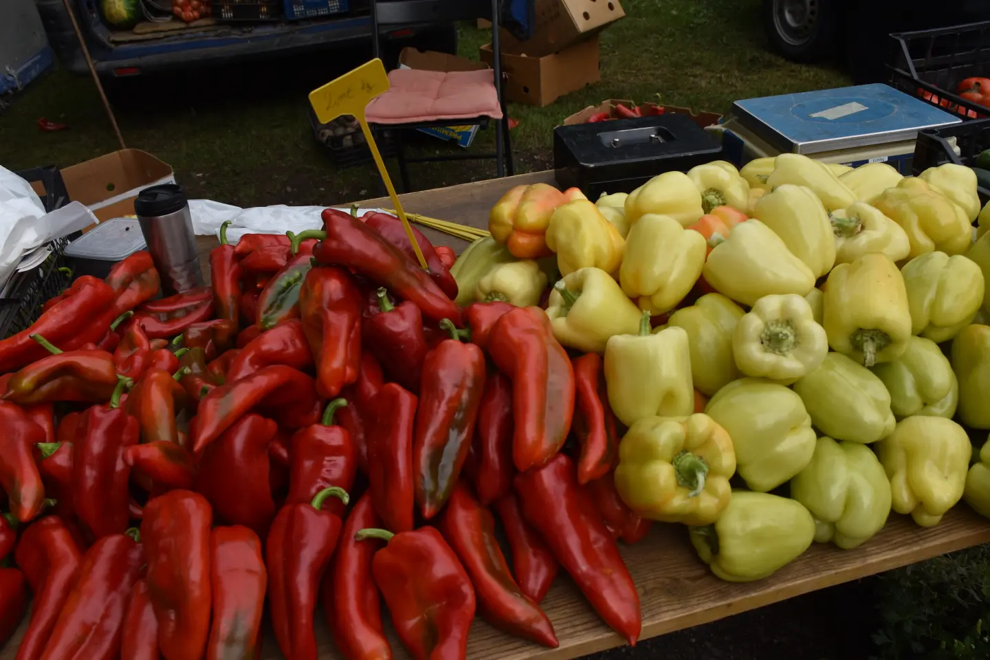 Sajam, Čakovec, 3.9.2025 (8)