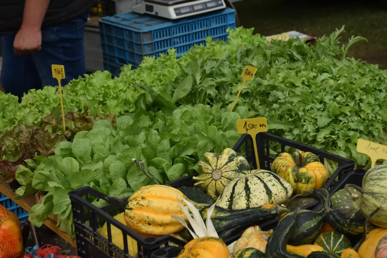 Sajam, Čakovec, 3.9.2025 (9) Sajam, Čakovec, 3.9.2025 (9)