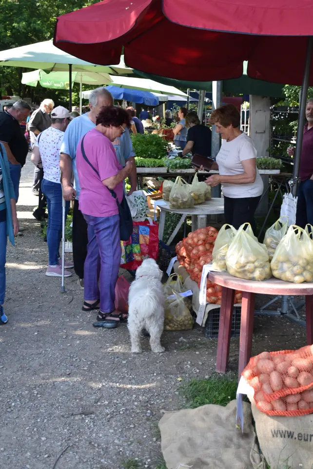 Sajam, Čakovec, 4.6.2025 (1)