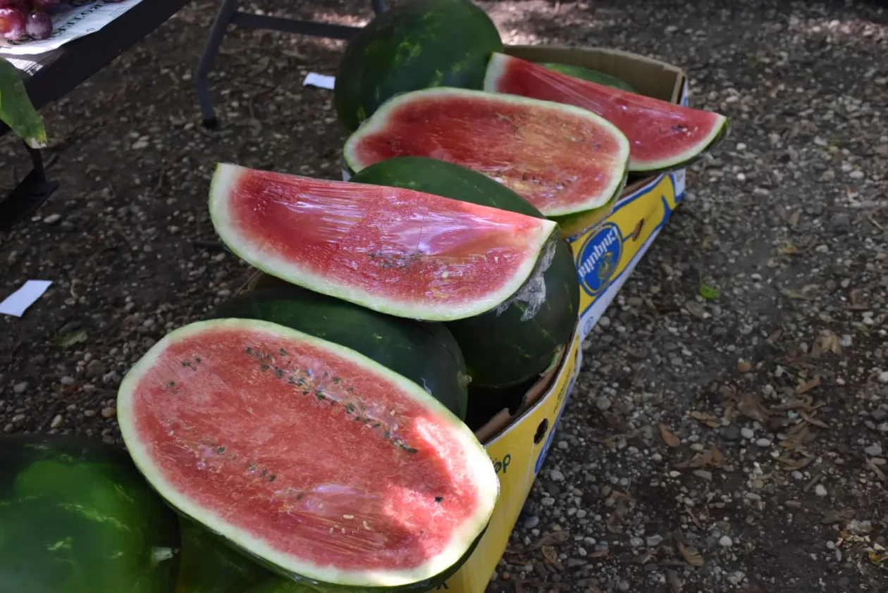 Sajam, Čakovec, 4.6.2025 (10)