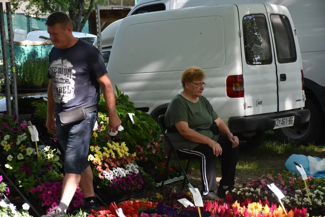 Sajam, Čakovec, 4.6.2025 (12)