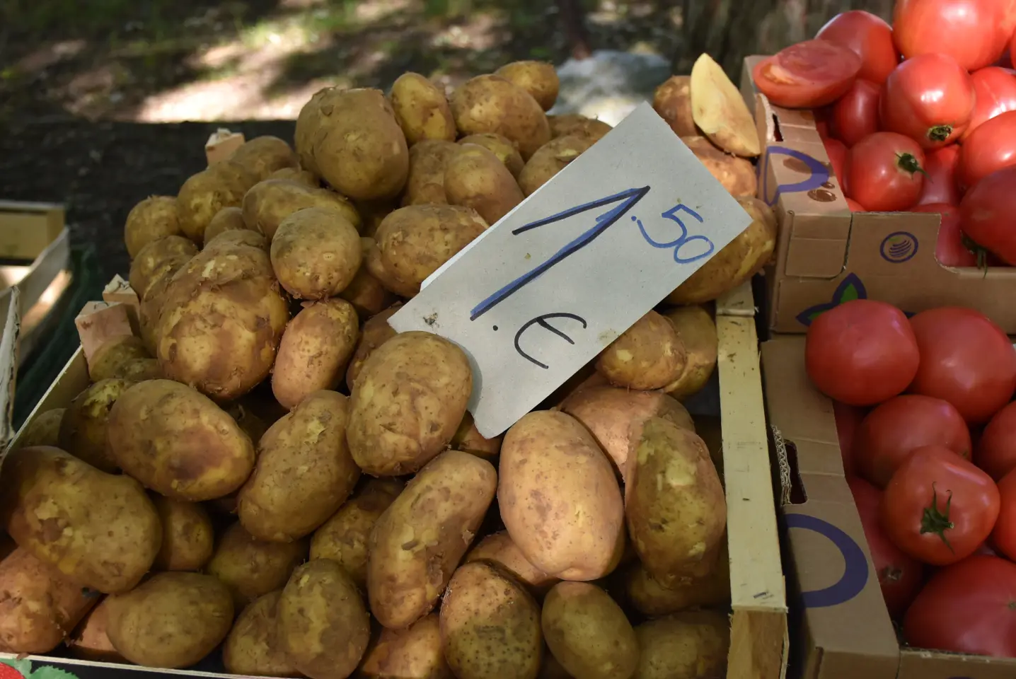 Sajam, Čakovec, 4.6.2025 (14)