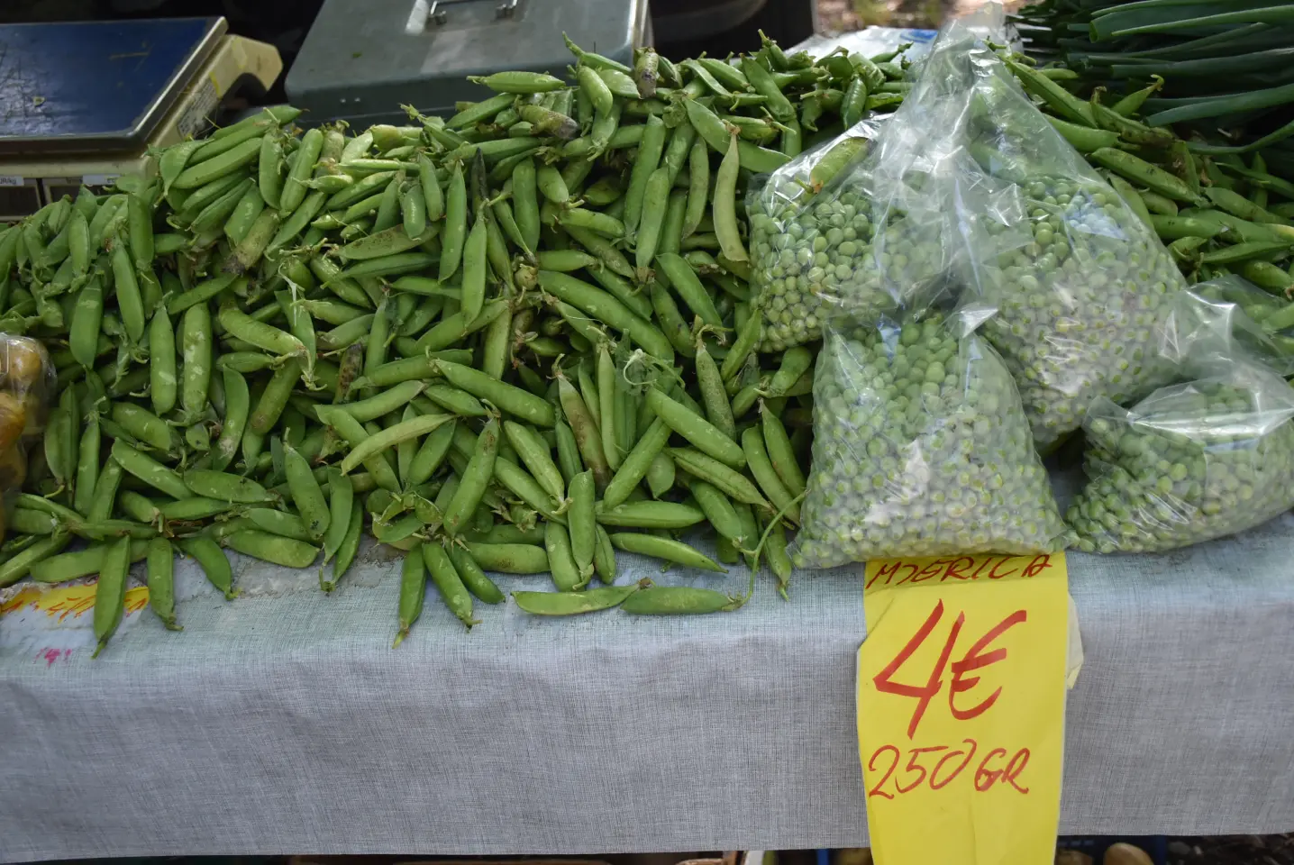 Sajam, Čakovec, 4.6.2025 (15)