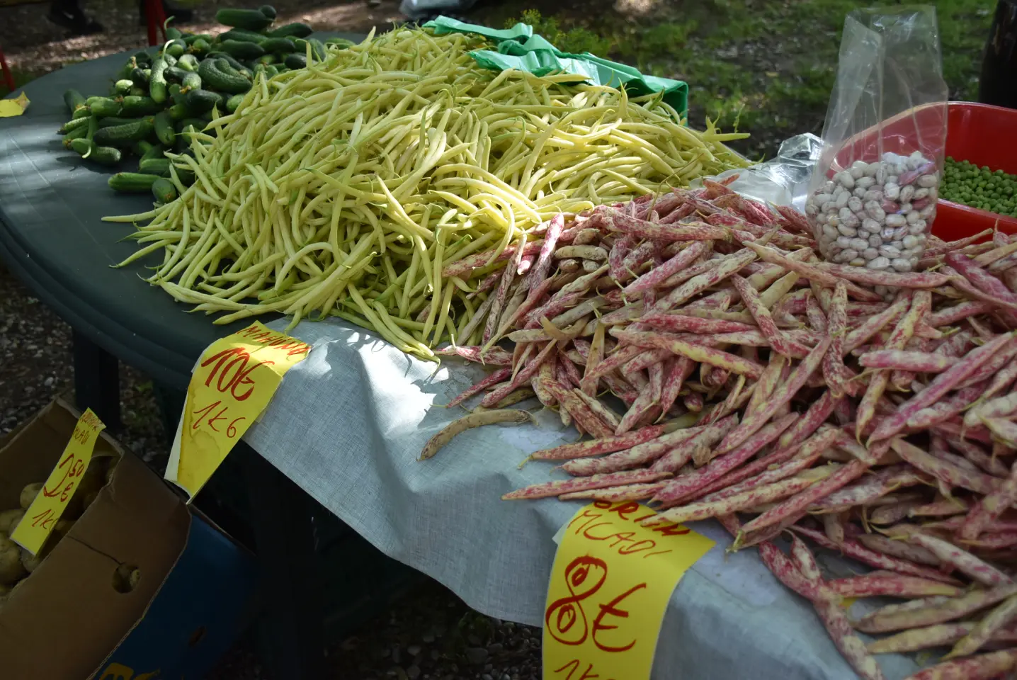 Sajam, Čakovec, 4.6.2025 (16)