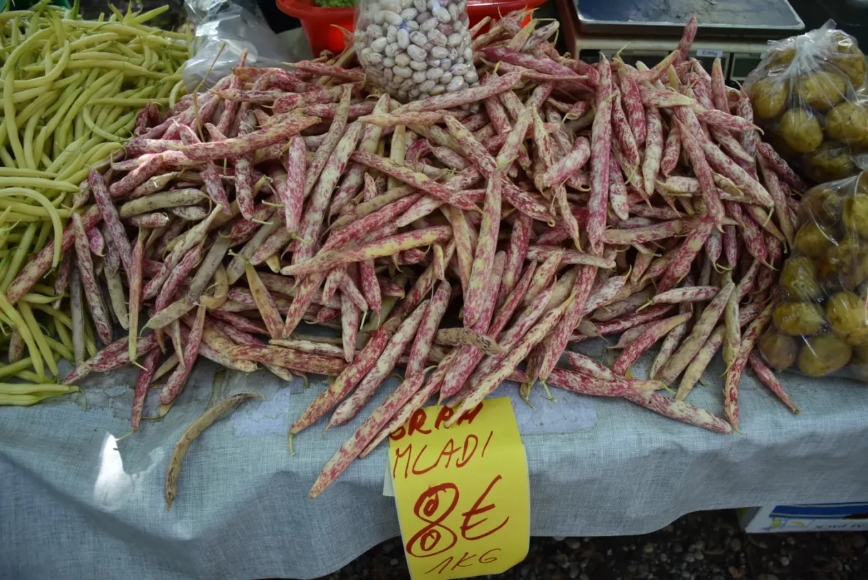 Sajam, Čakovec, 4.6.2025 (17)