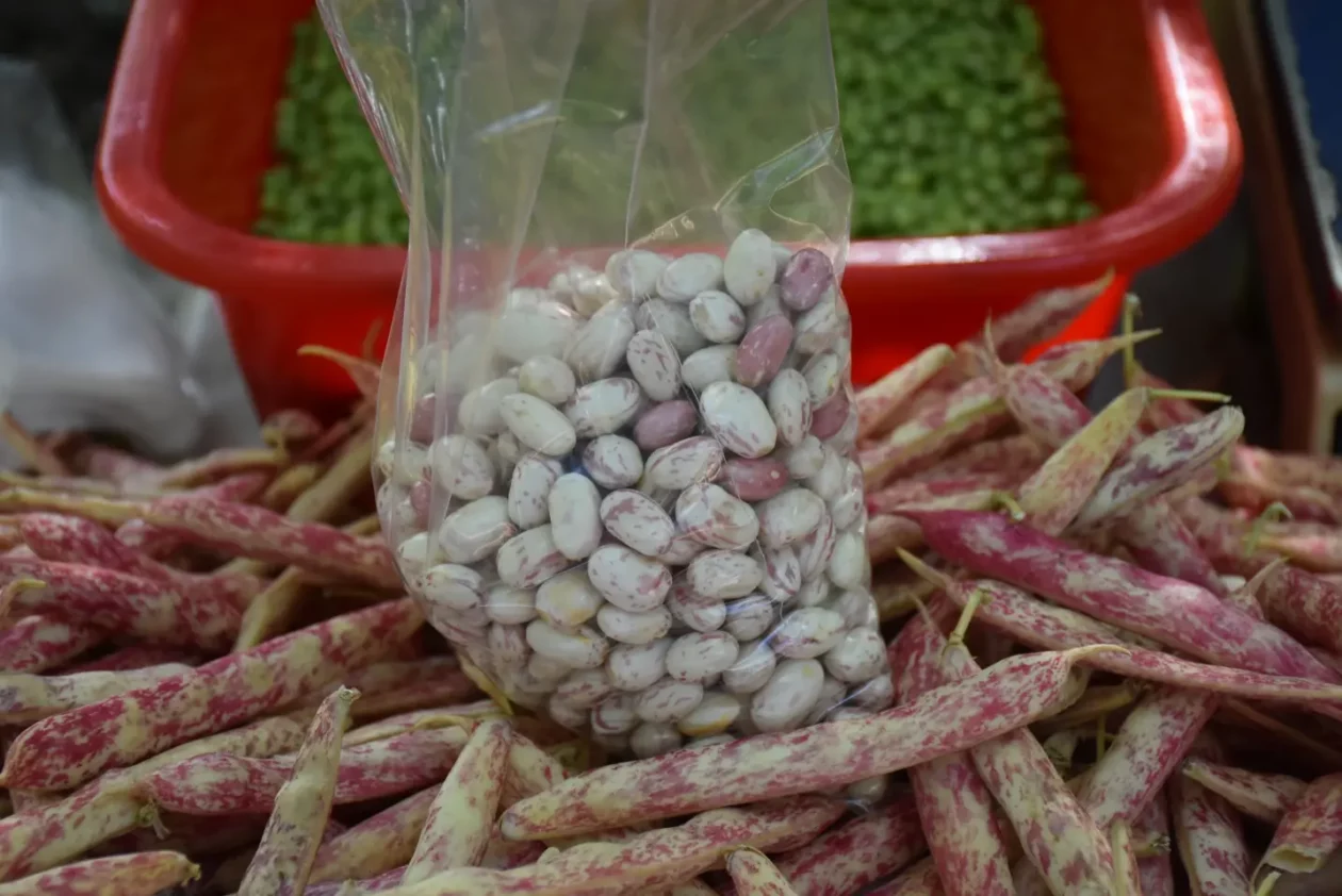 Sajam, Čakovec, 4.6.2025 (18)