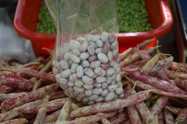 Sajam, Čakovec, 4.6.2025 (18)