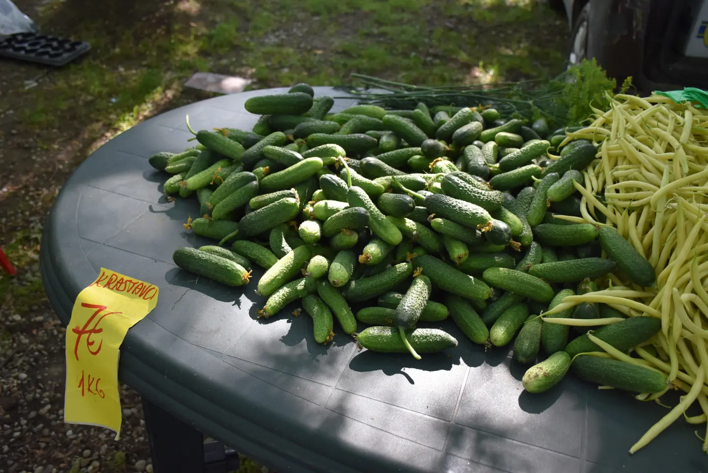 Sajam, Čakovec, 4.6.2025 (19)