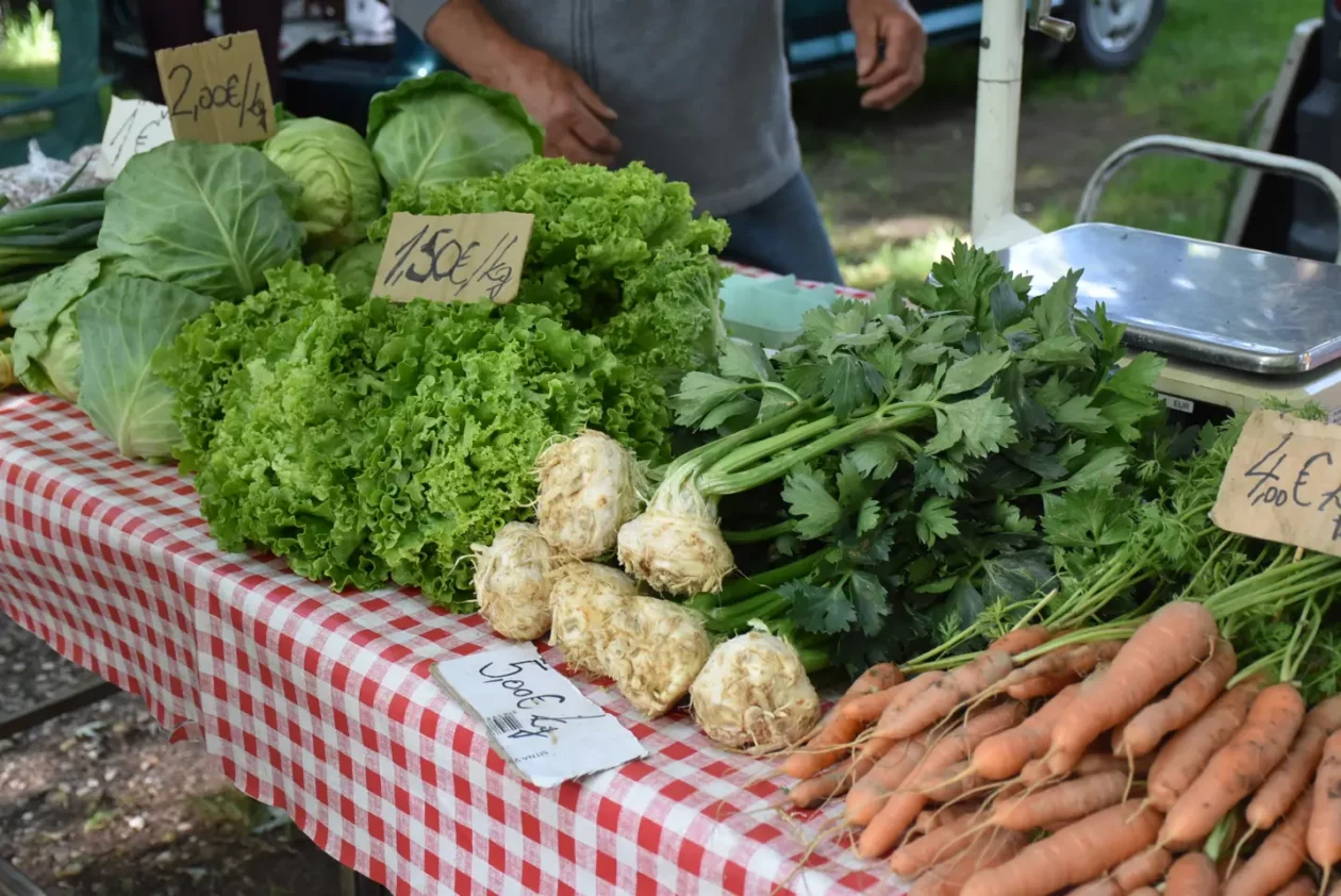 Sajam, Čakovec, 4.6.2025 (20)