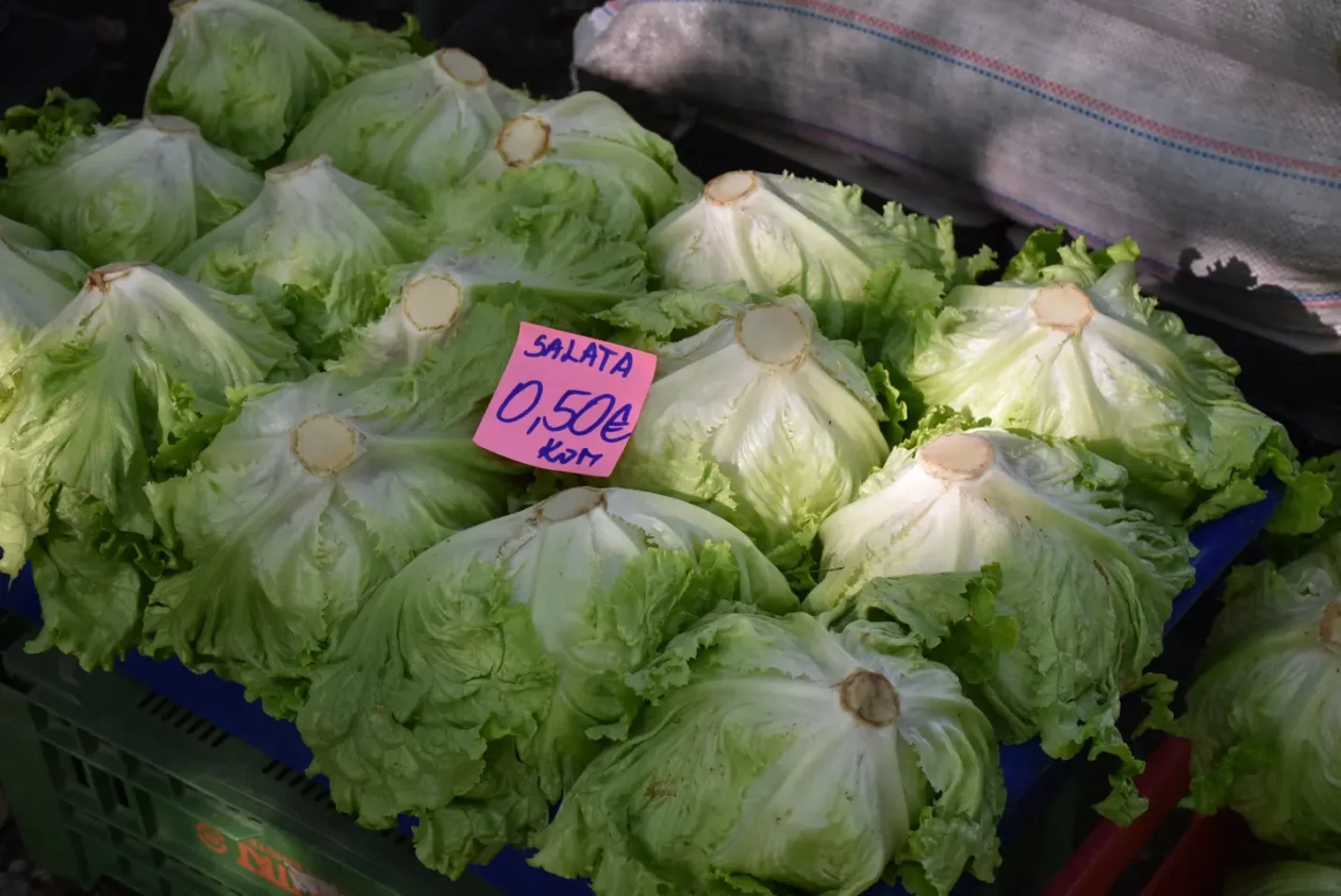 Sajam, Čakovec, 4.6.2025 (21)