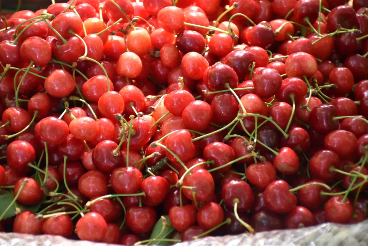 Sajam, Čakovec, 4.6.2025 (23)