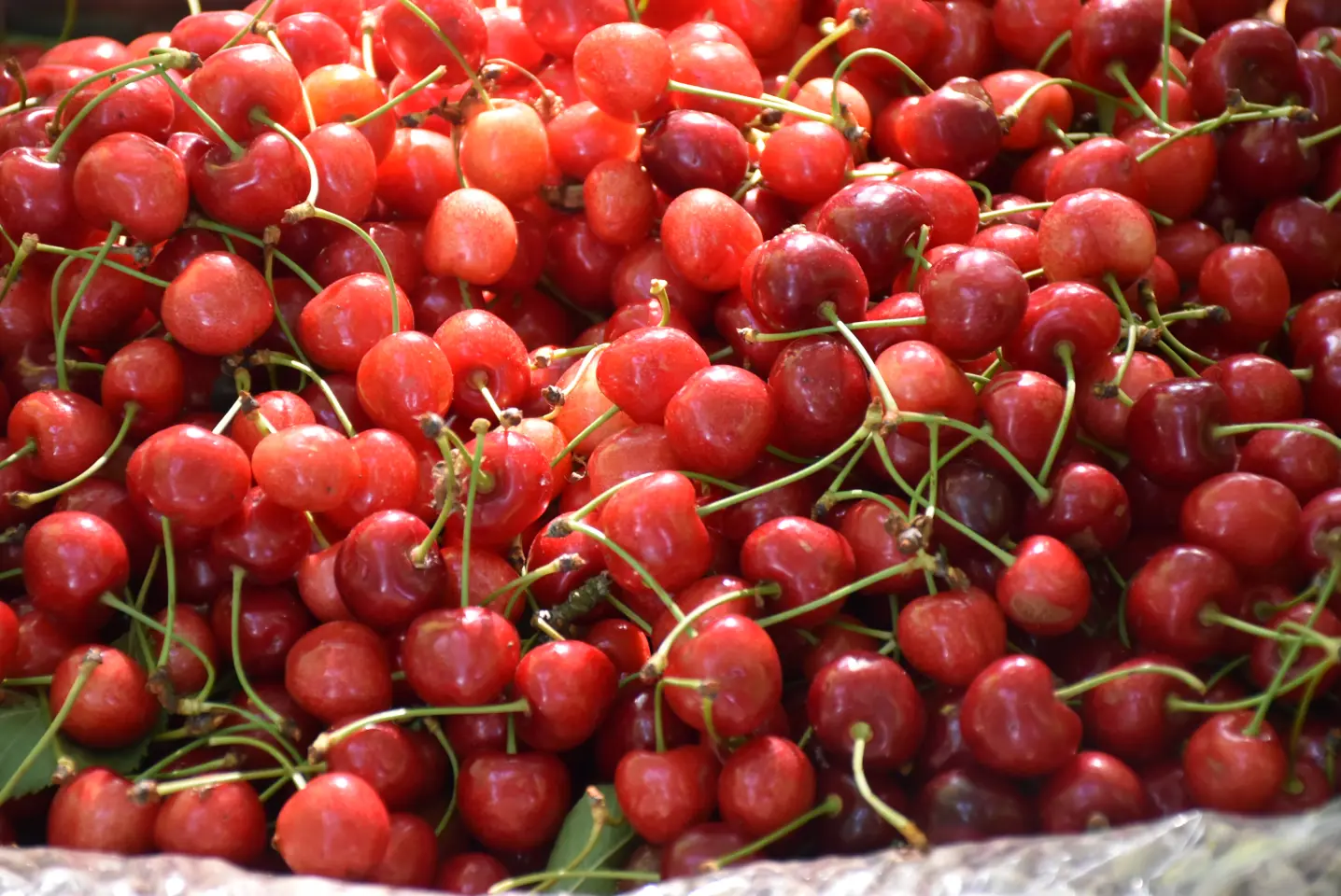 Sajam, Čakovec, 4.6.2025 (23)