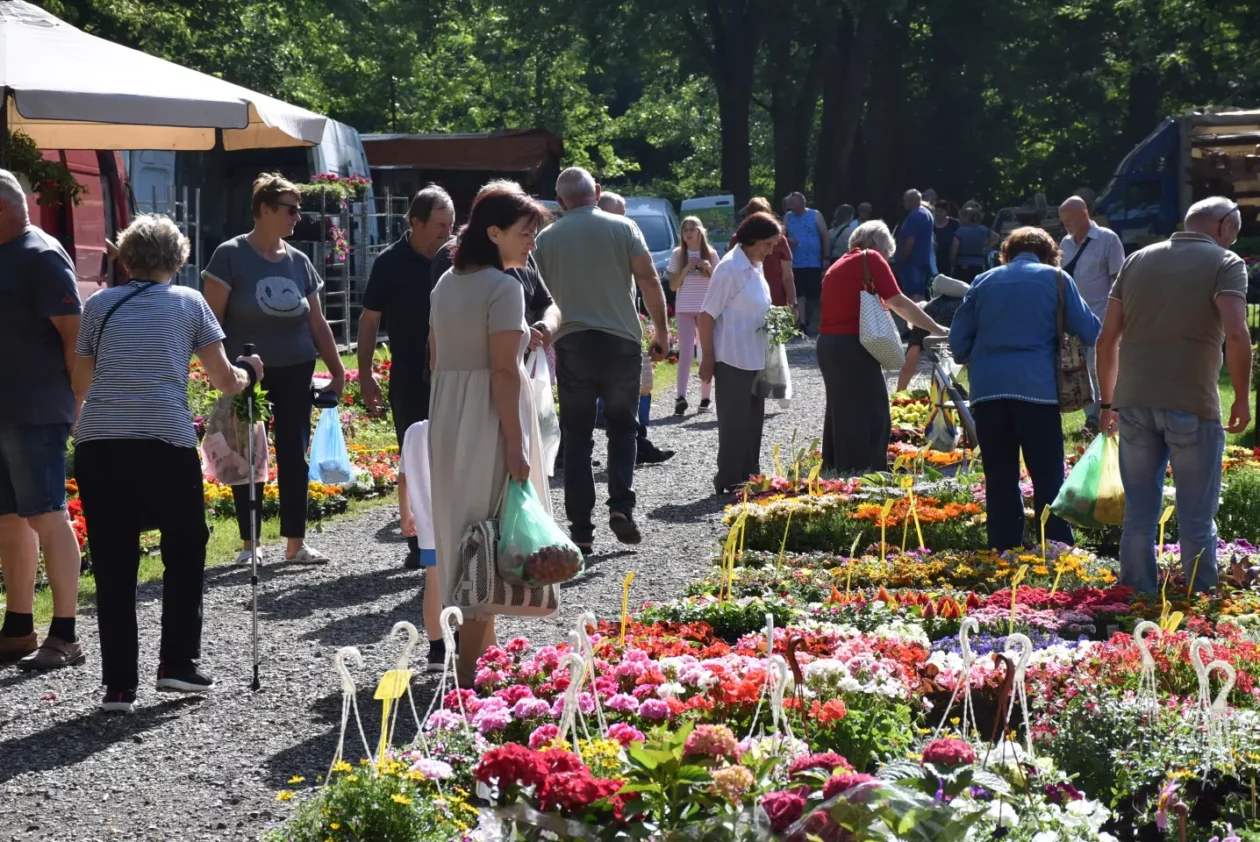 Sajam, Čakovec, 4.6.2025 (34)