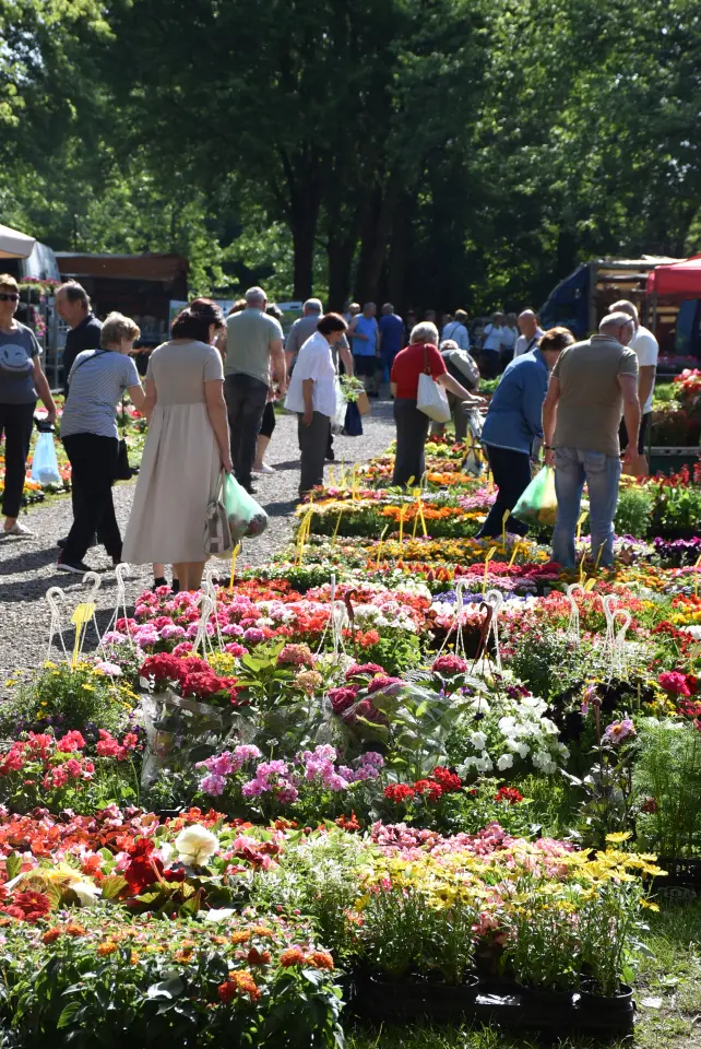 Sajam, Čakovec, 4.6.2025 (35)