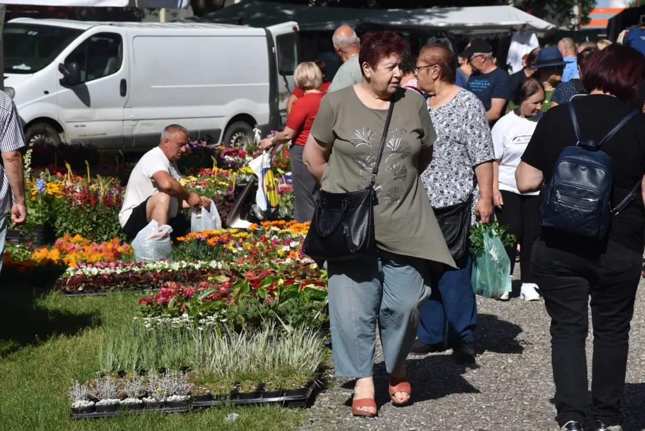 Sajam, Čakovec, 4.6.2025 (37)