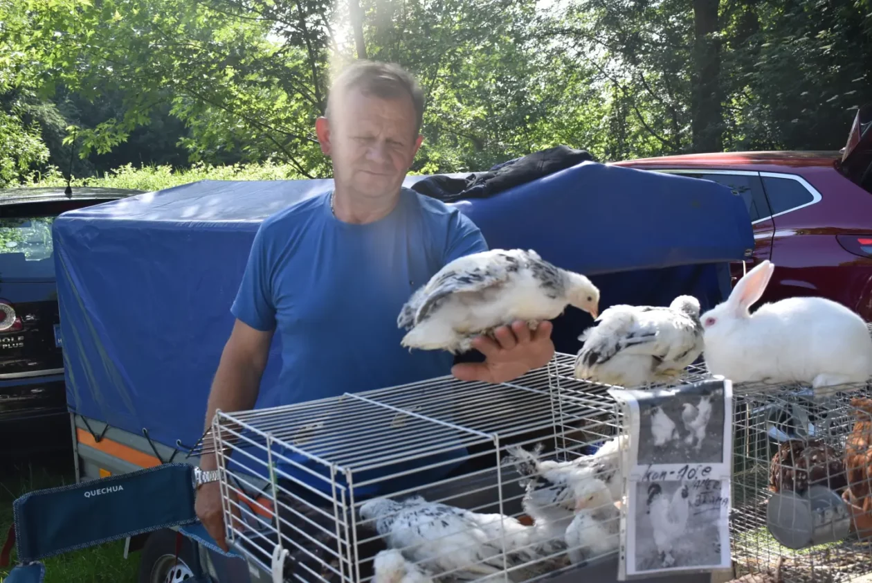 Sajam, Čakovec, 4.6.2025 (46)