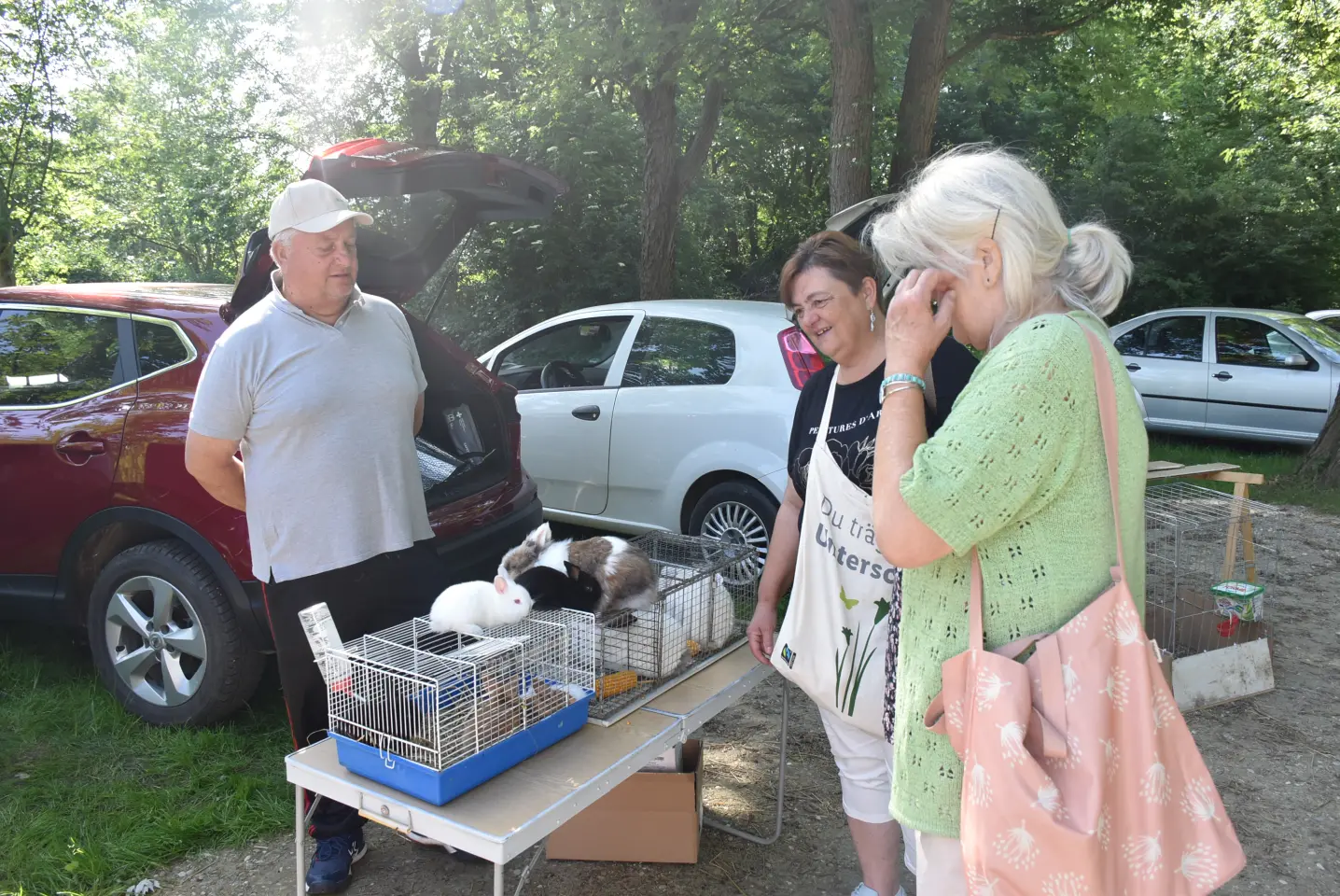 Sajam, Čakovec, 4.6.2025 (47)