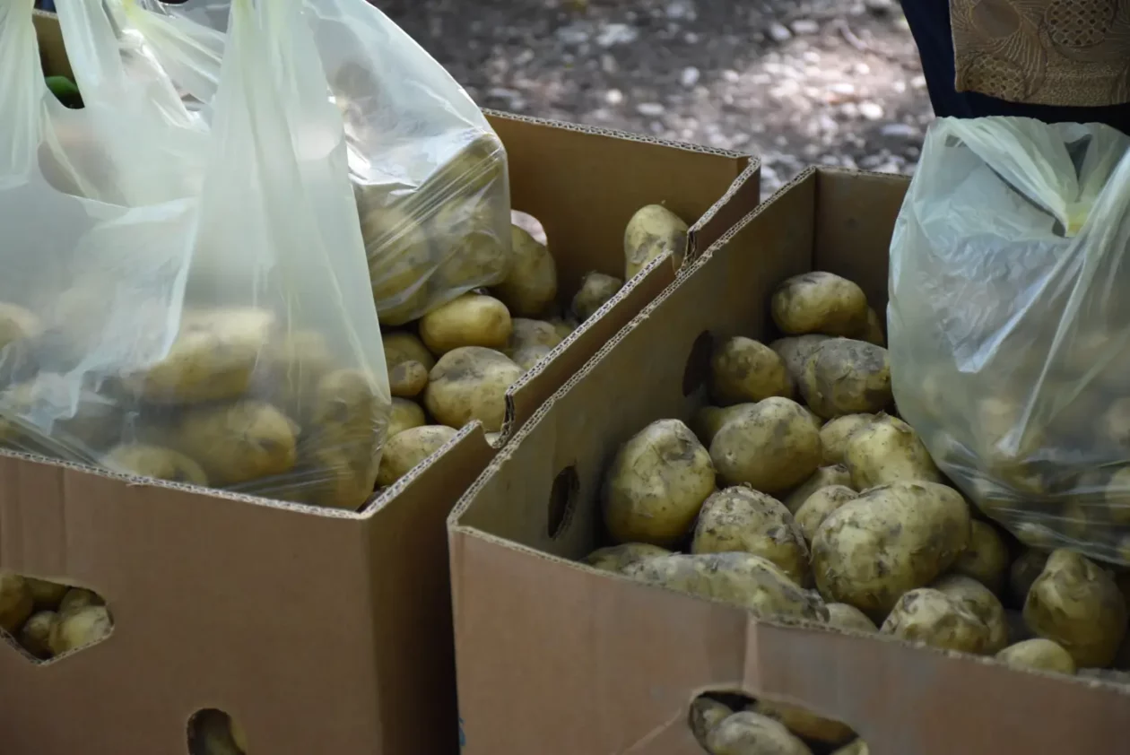 Sajam, Čakovec, 4.6.2025 (8)