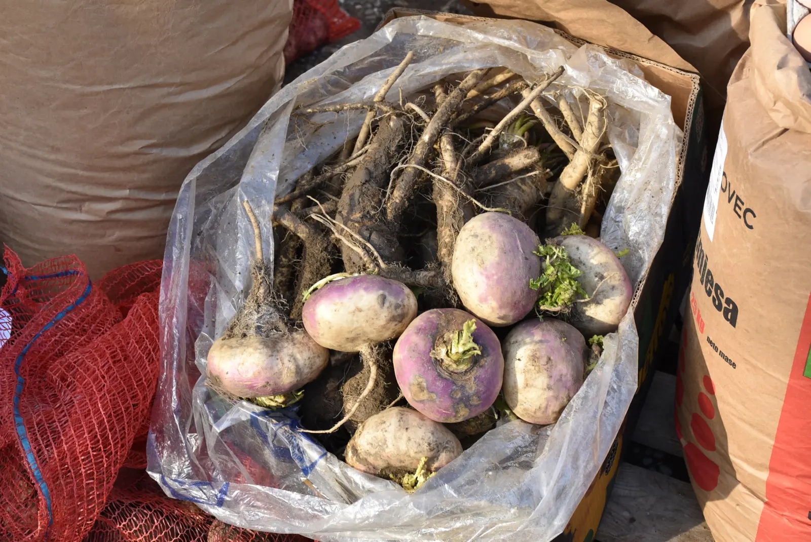 Sajam, Čakovec 5.3.25 (10) Sajam, Čakovec 5.3.25 (10)