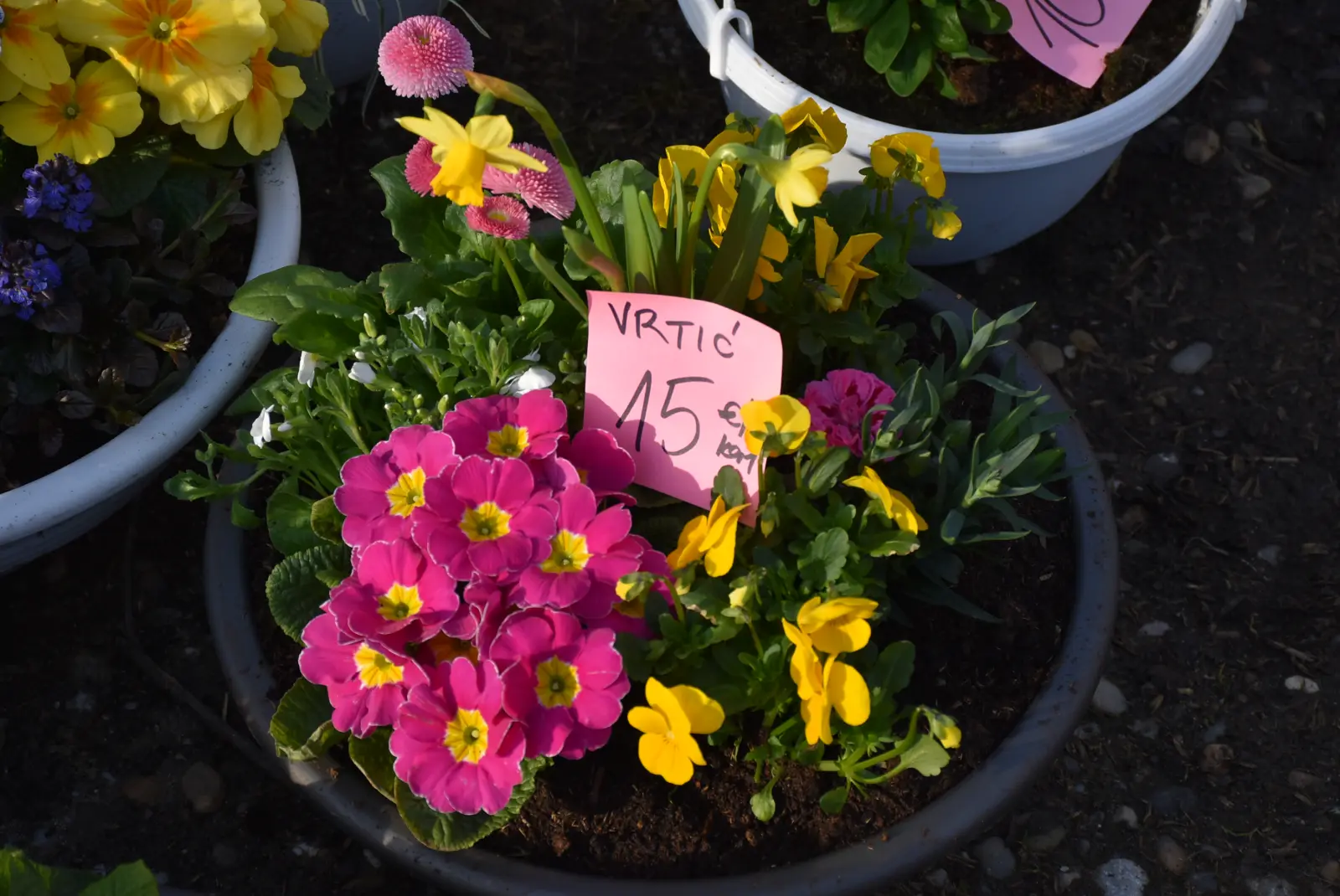 Sajam, Čakovec 5.3.25 (12) Sajam, Čakovec 5.3.25 (12)