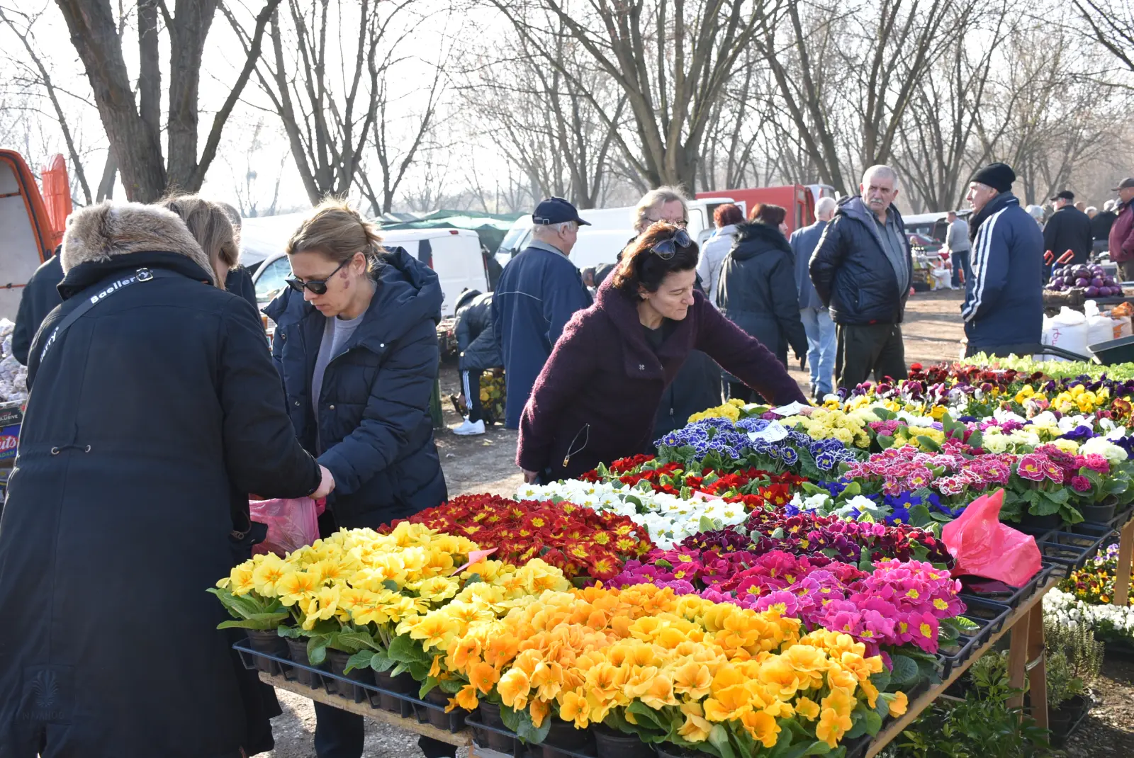 Sajam, Čakovec 5.3.25 (13) Sajam, Čakovec 5.3.25 (13)