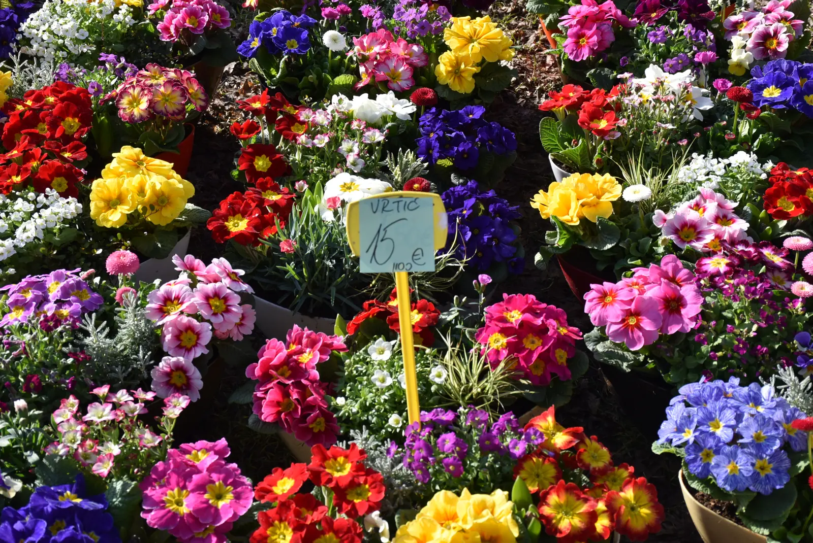 Sajam, Čakovec 5.3.25 (35) Sajam, Čakovec 5.3.25 (35)