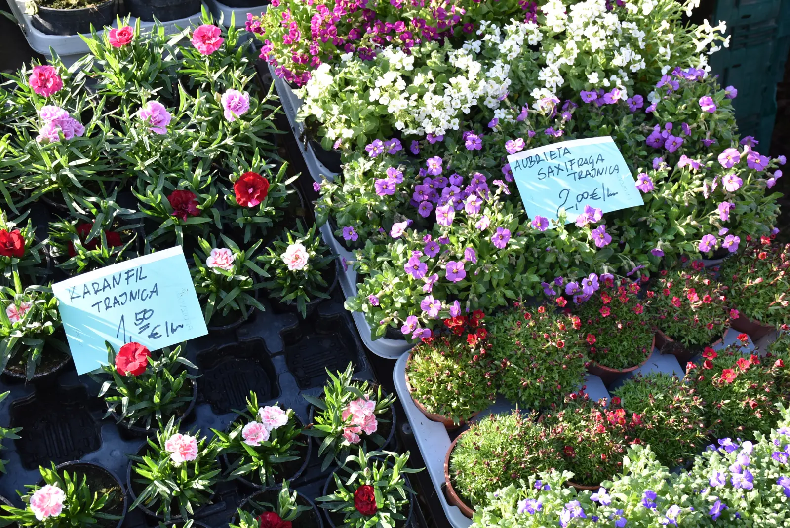 Sajam, Čakovec 5.3.25 (38) Sajam, Čakovec 5.3.25 (38)