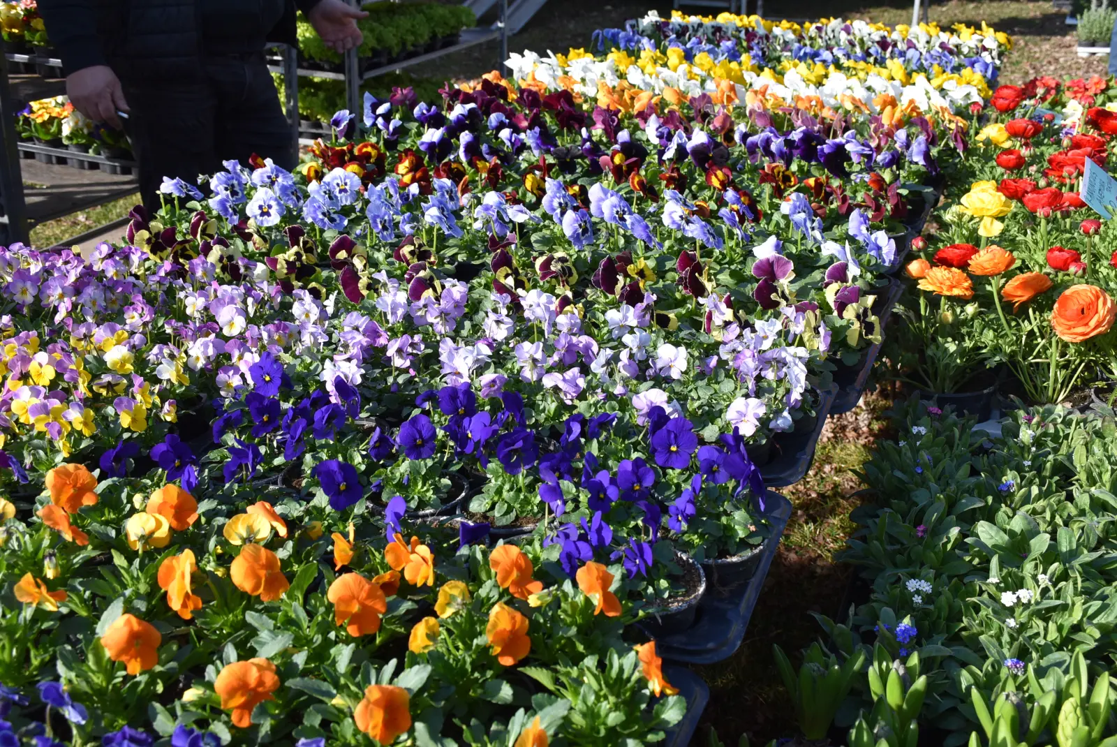 Sajam, Čakovec 5.3.25 (39) Sajam, Čakovec 5.3.25 (39)