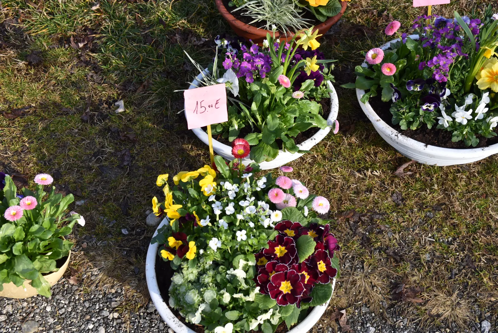 Sajam, Čakovec 5.3.25 (41) Sajam, Čakovec 5.3.25 (41)