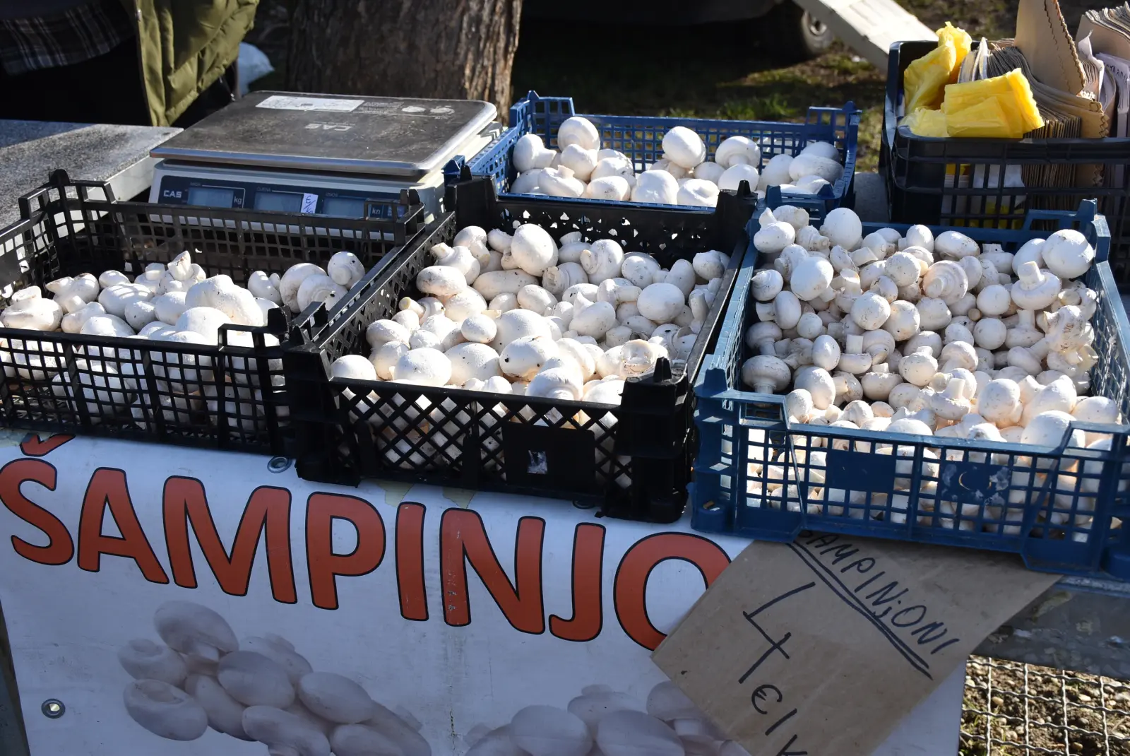 Sajam, Čakovec 5.3.25 (5) Sajam, Čakovec 5.3.25 (5)