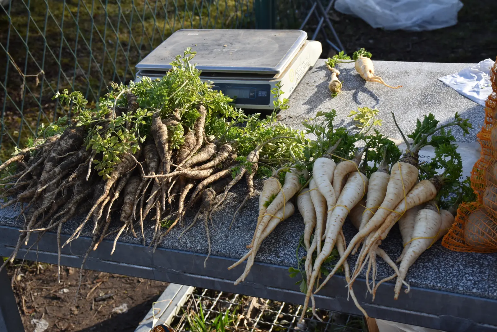 Sajam, Čakovec 5.3.25 (6) Sajam, Čakovec 5.3.25 (6)