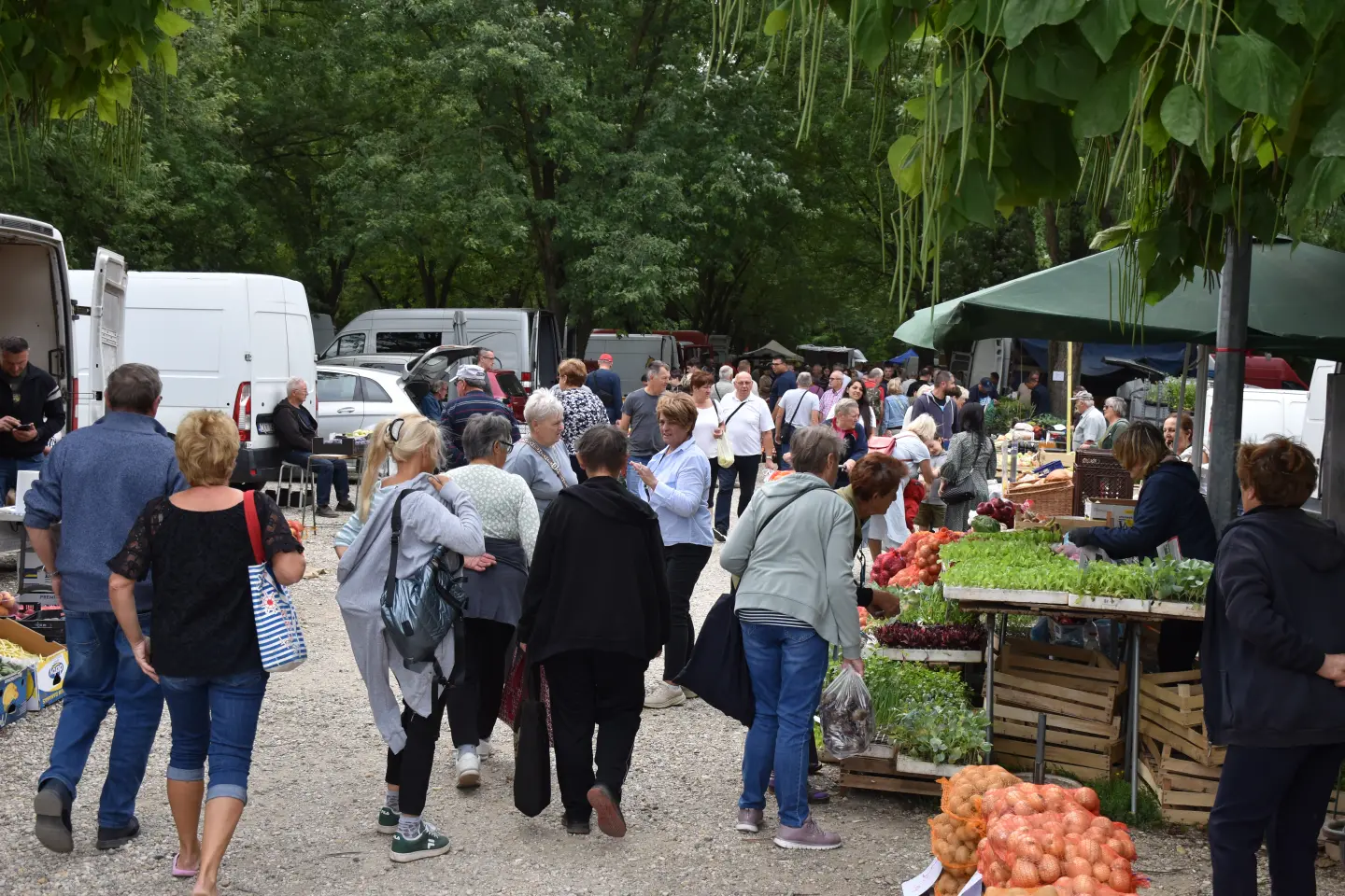 Sajam, Čakovec, 6.8.2025 (1)