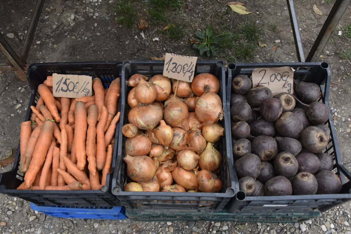 Sajam, Čakovec, 6.8.2025 (10)