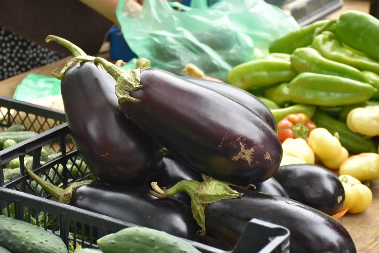 Sajam, Čakovec, 6.8.2025 (11)